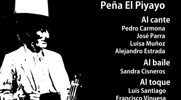 Cata de Vinos 