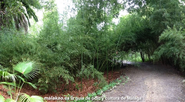 Jornada de puertas abiertas del Jardn Botnico La Concepcin