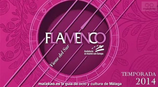 flamenco-viene-del-sur-malaga-2014